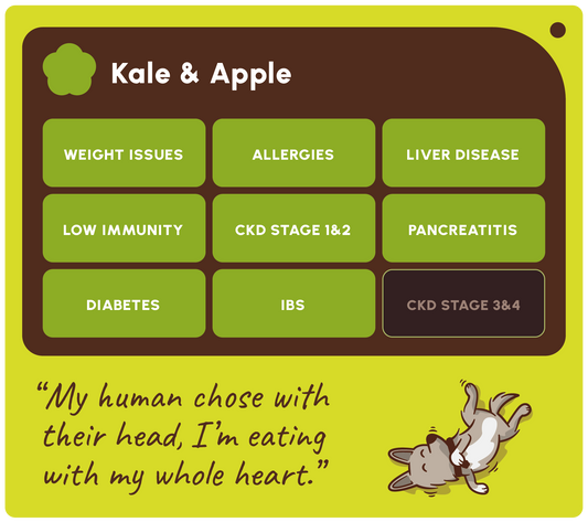 SOOPA HEALTHY BITES PRZYSMAK DLA PSA KALE APPLE 50G