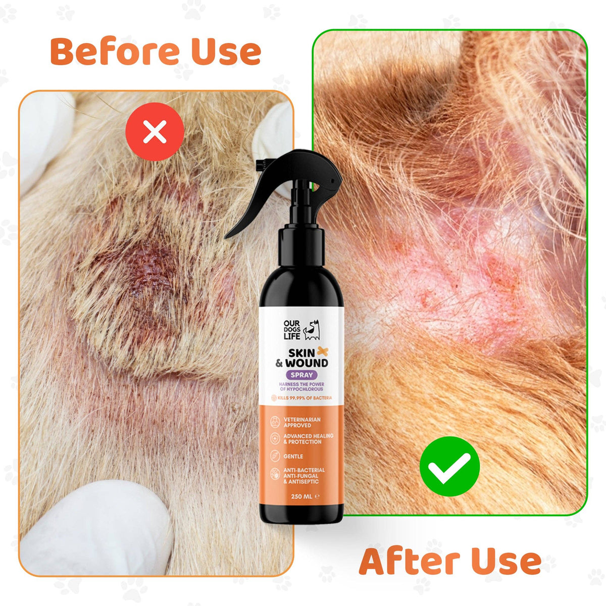 OURPETSLIFE ANTYSEPTYCZNY SPRAY DLA PSÓW