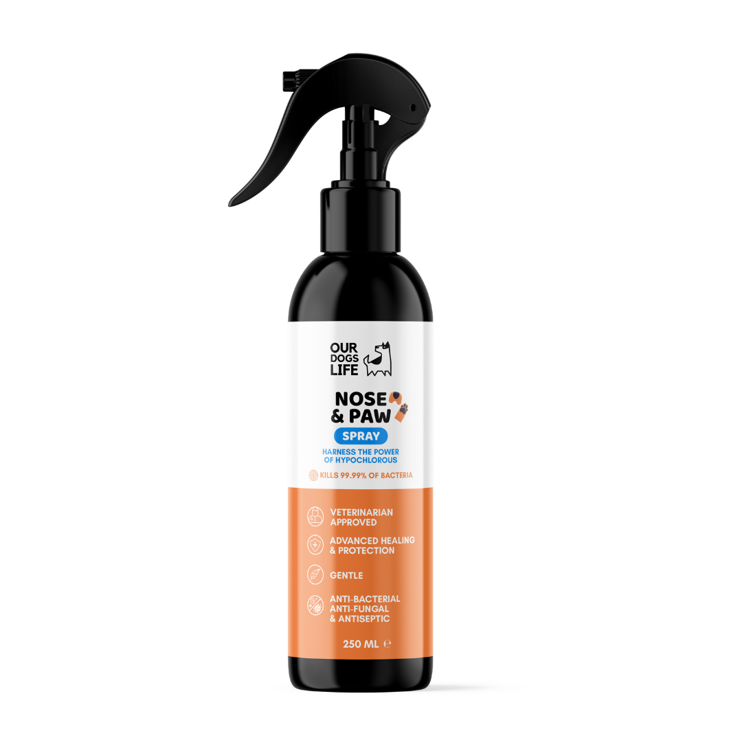 OURPETSLIFE SPRAY DLA PSA DO CZYSZCZENIA ŁAP I NOSA