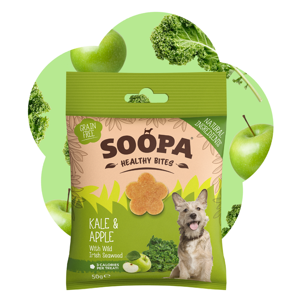 SOOPA HEALTHY BITES PRZYSMAK DLA PSA KALE APPLE 50G
