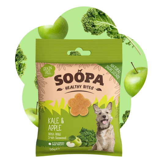 SOOPA HEALTHY BITES PRZYSMAK DLA PSA KALE APPLE 50G