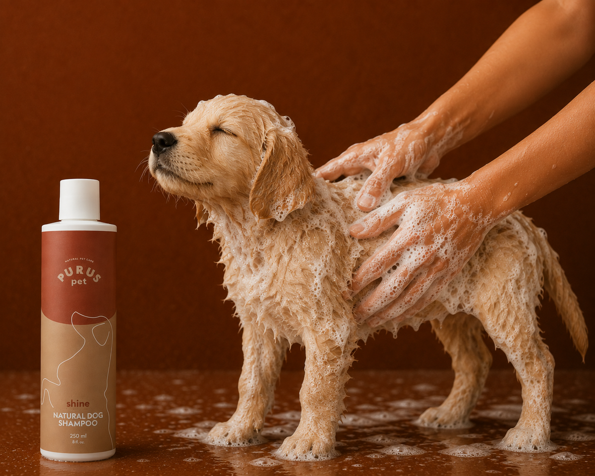 PURUS PET SZAMPON SHINE DLA PSÓW – ODŻYWCZA PIELĘGNACJA I LŚNIĄCA SIERŚĆ 250 ML
