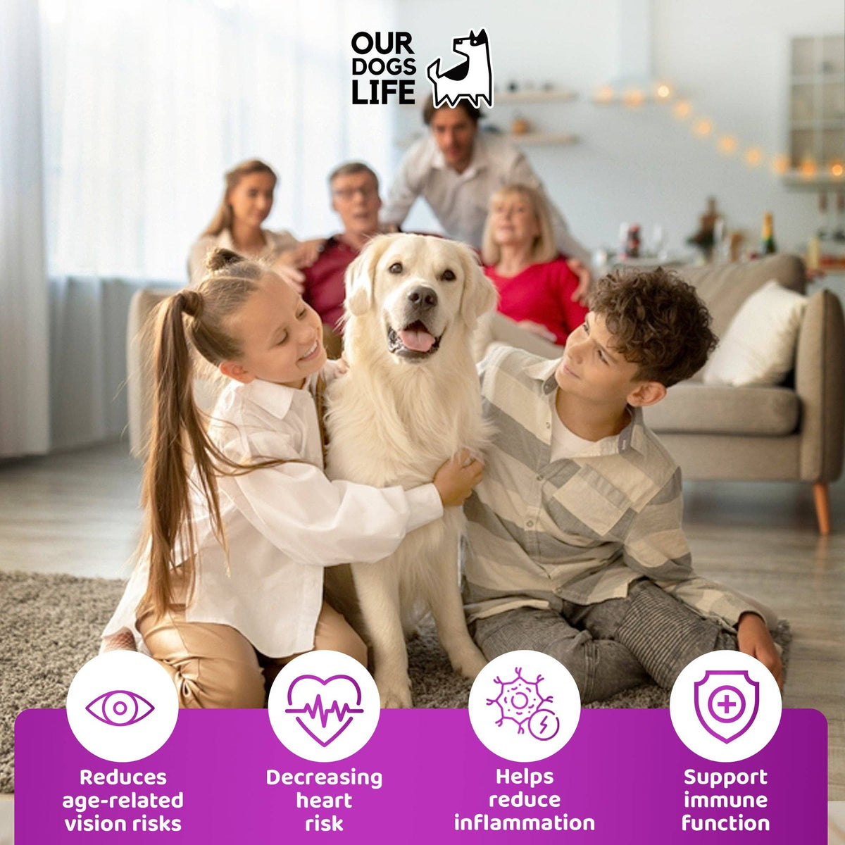 OURPETSLIFE SUPLEMENT DLA STARSZYCH PSÓW