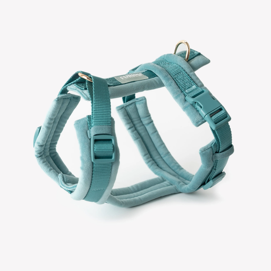 FURLOU VELVET SZELKI GUARD DLA PSA 'BLUE' XS