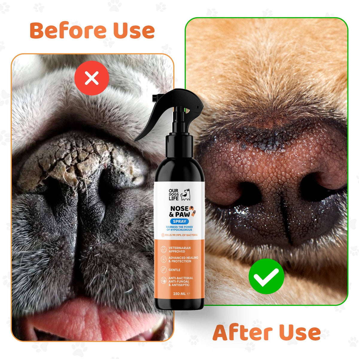 OURPETSLIFE SPRAY DLA PSA DO CZYSZCZENIA ŁAP I NOSA