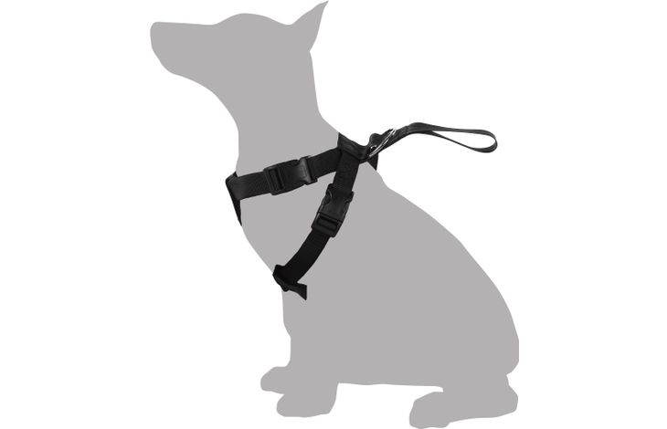 FLAMINGO CAR SAFETY HARNESS BARO BLACK S 33-50X43-56CM