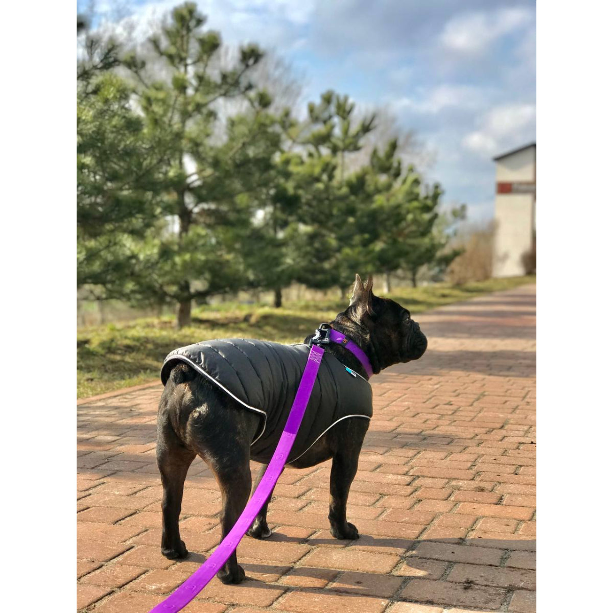 COLLAR AIRYVEST PELERYNA L CZARNY