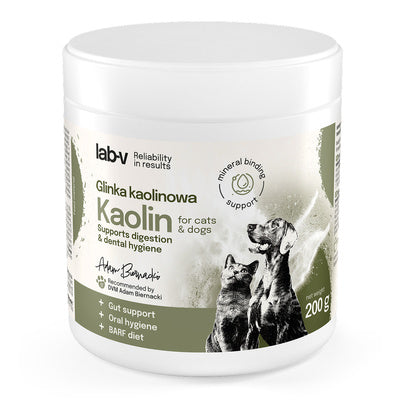 LAB V KAOLIN 200G
