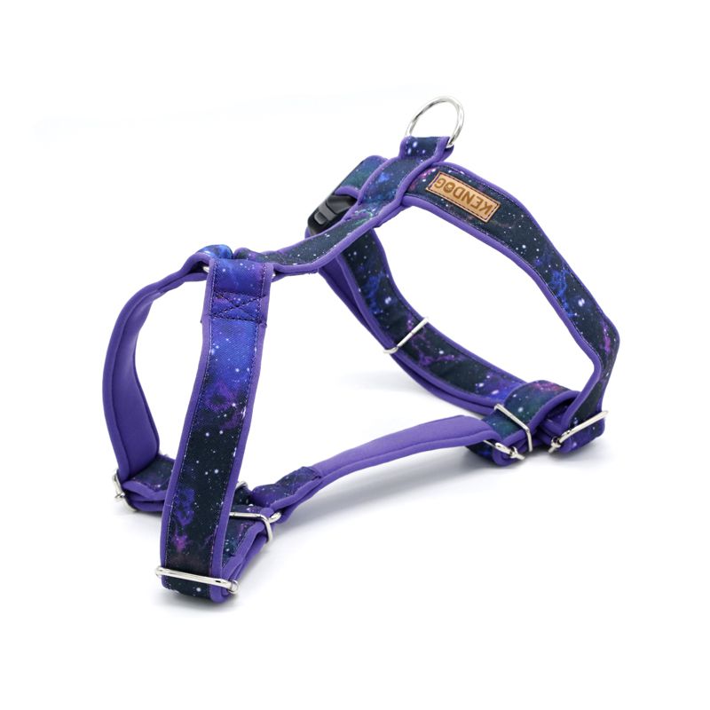 KENDOG SZELKI GUARD DLA PSA GALAXY XL