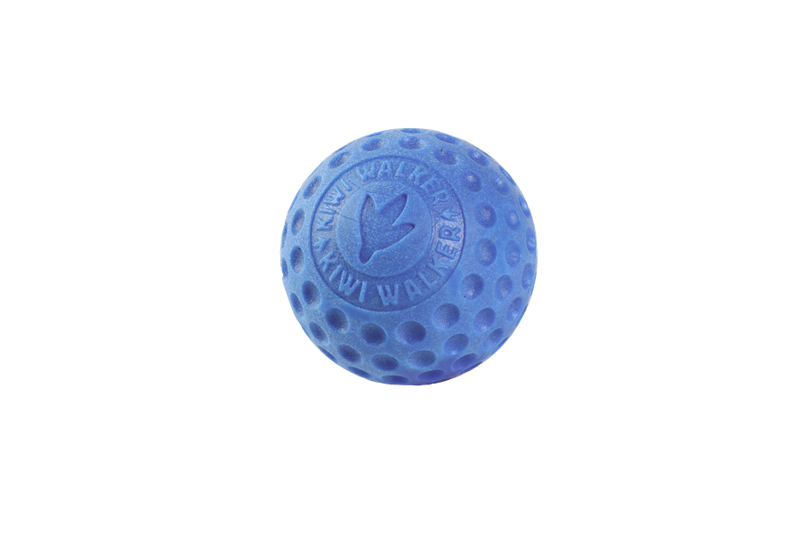 KIWI WALKER LET'S PLAY BALL MINI NIEBIESKA