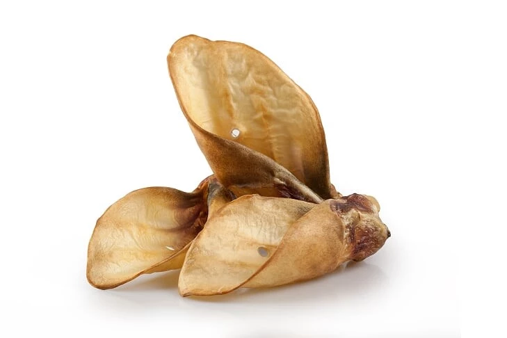 BALTO GRYZAK DLA PSA UCHO WOŁOWE MIODOWE 10SZT