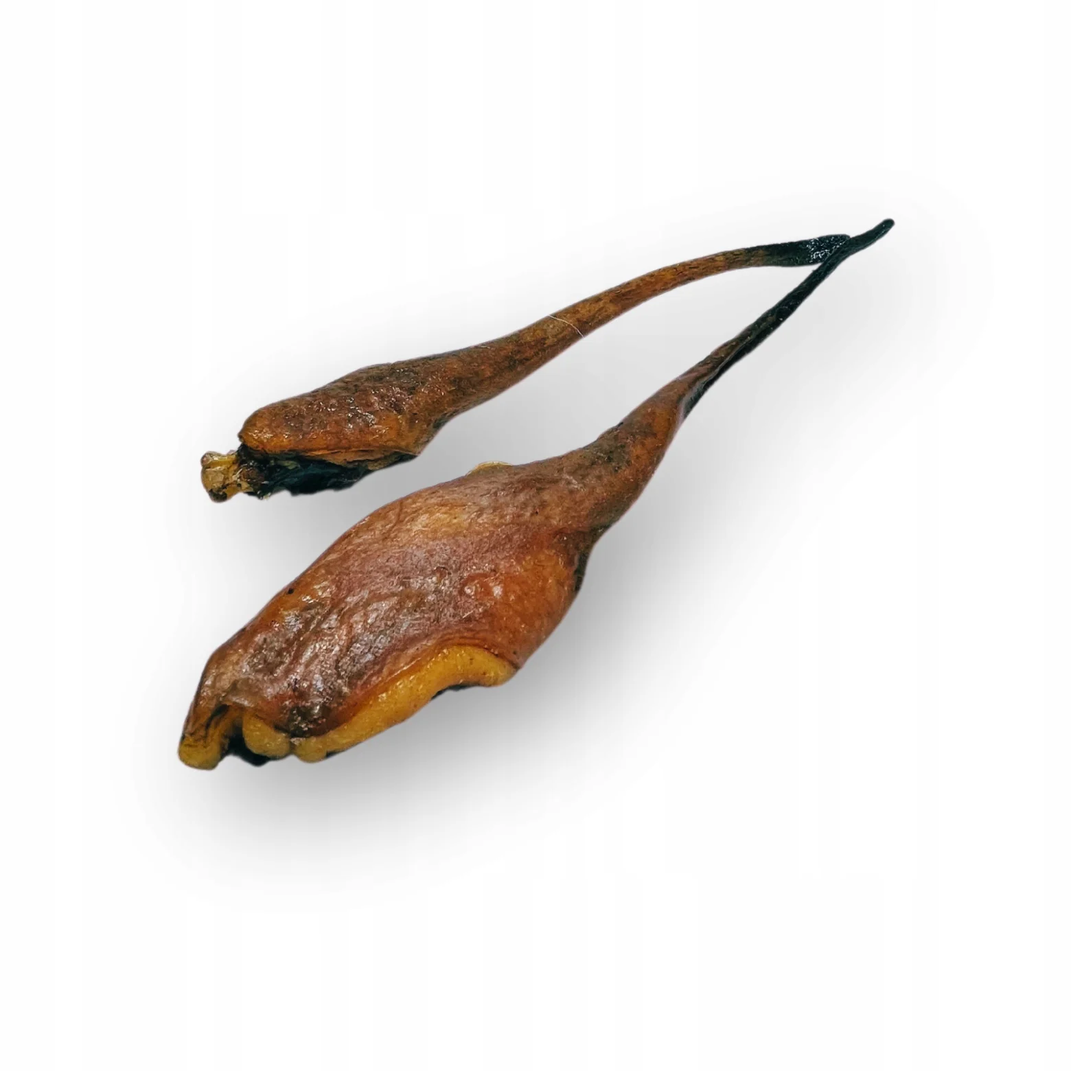 MEATSTUFF GRYZAK DLA PSA OGONEK DZIKA 2 SZT.