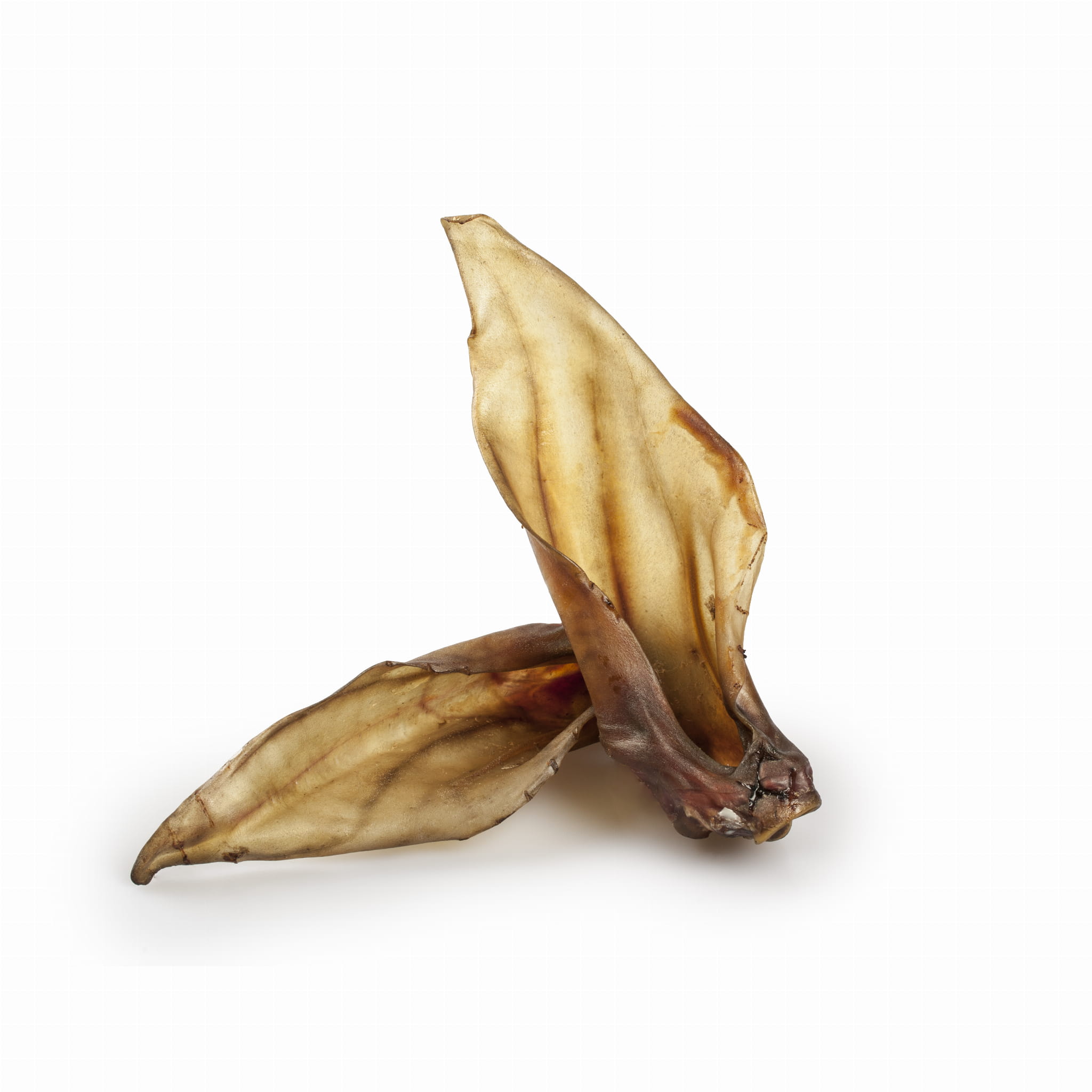 BALTO GRYZAK DLA PSA UCHO JELENIA 1SZT