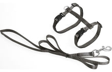 FLAMINGO CAT HARNESS WITH LEASH ZIGGI TAUPE 22-36CM 27-46CM 110CM 10MM