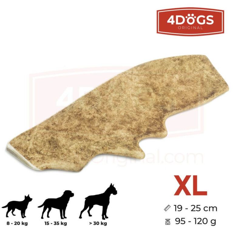4DOGS GRYZAK XL HARD Z POROŻA DANIELA