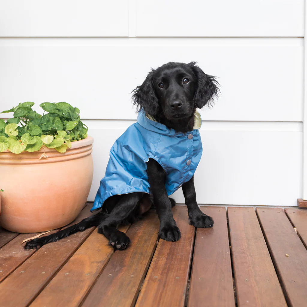 FUZZYARD LIFE RAINCOAT FFRENCH BLUE S6