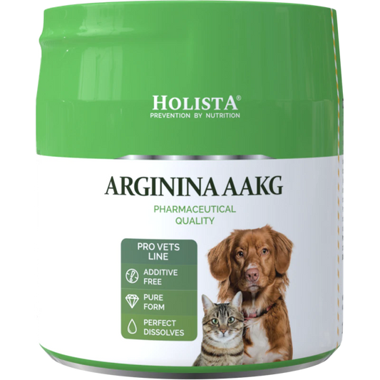 HOLISTA ARGININA AAKG DLA PSA I KOTA 100G