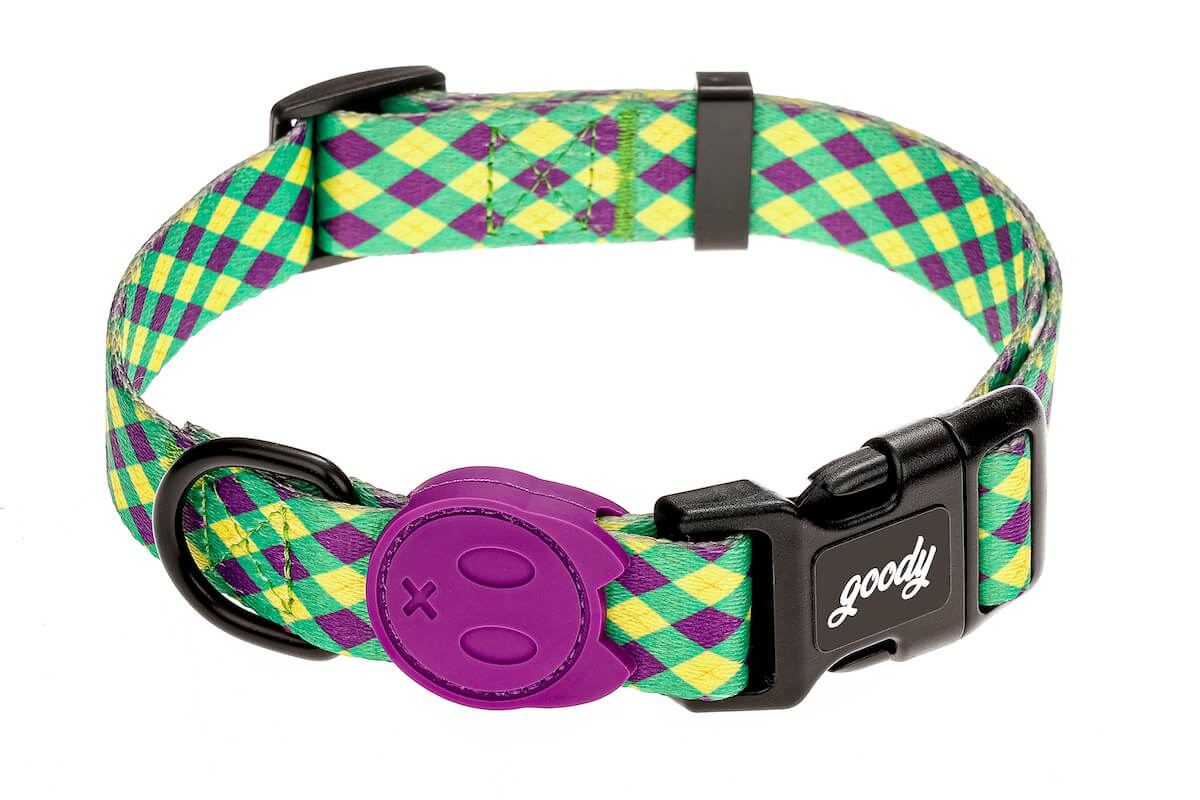 GOODY OBROŻA DLA PSA REGULOWANA STYLISH CHARLIE M