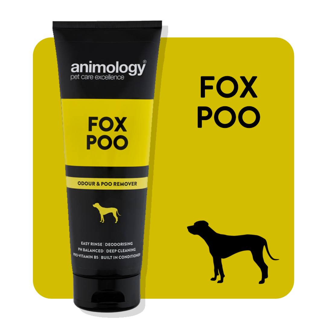 ANIMOLOGY FOX POO SHAMPOO 250ML - SZAMPON DLA PSÓW USUWAJĄCY UPORCZYWY BRUD