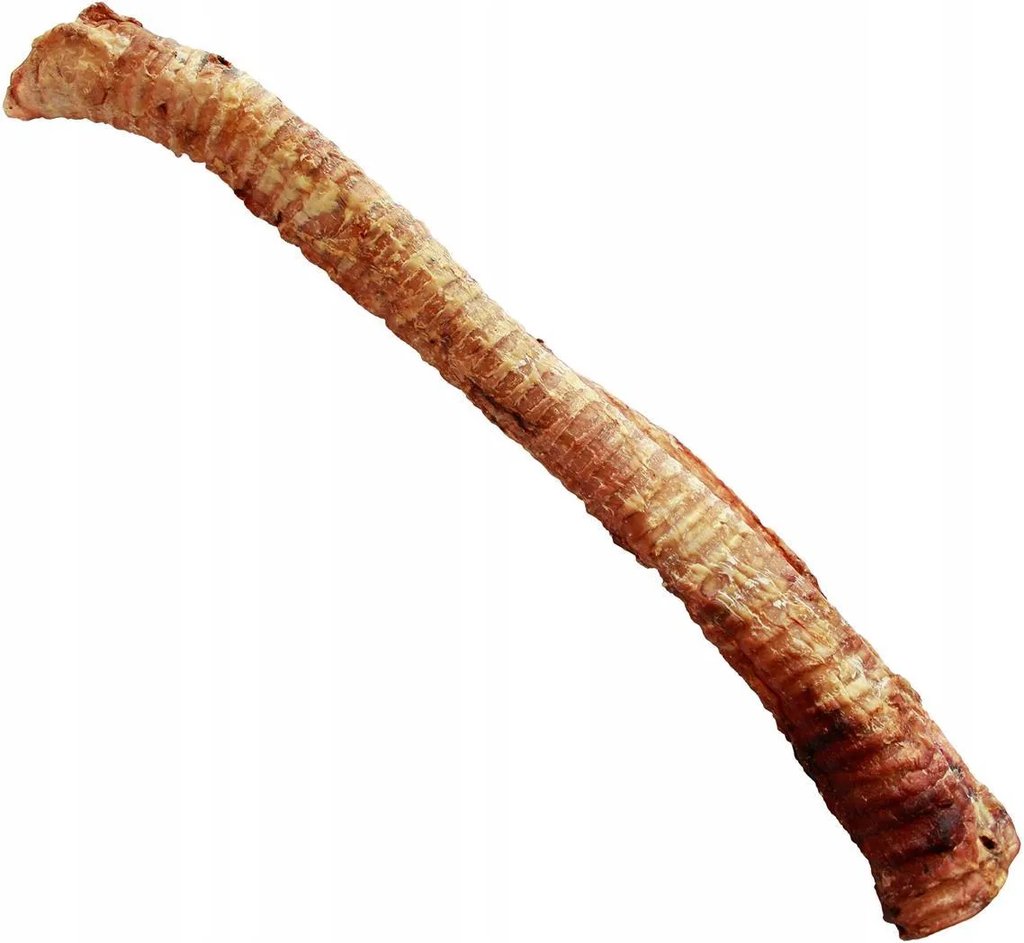 BALTO GRYZAK DLA PSA TCHAWICA WOŁOWA 1SZT