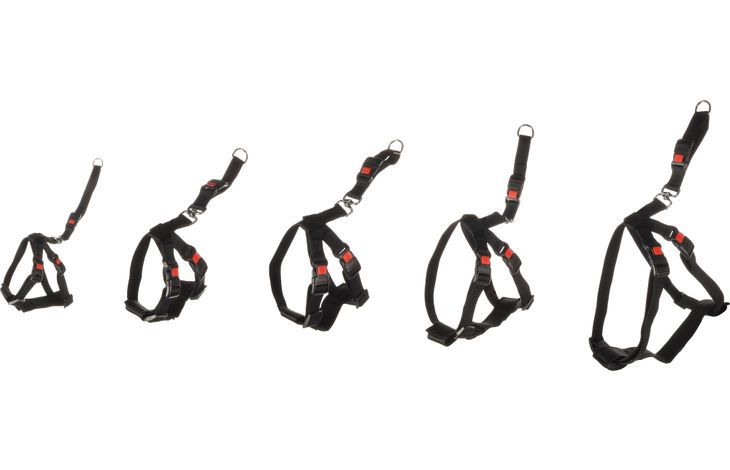FLAMINGO CAR SAFETY HARNESS DUMA BLACK XL 48,5-82,5X62-105CM