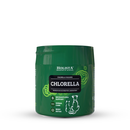 HOLISTA CHLORELLA 100G - SUPER ALGA DLA PSA I KOTA