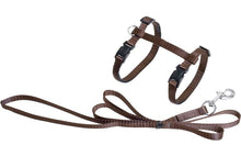 FLAMINGO CAT HARNESS WITH LEASH ZIGGI BROWN 22-36CM 27-46CM 110CM 10MM