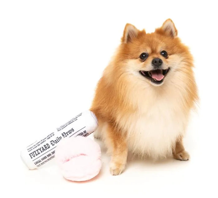 FUZZYARD FETCH MY SLIPPERS AND PAPER 2PK