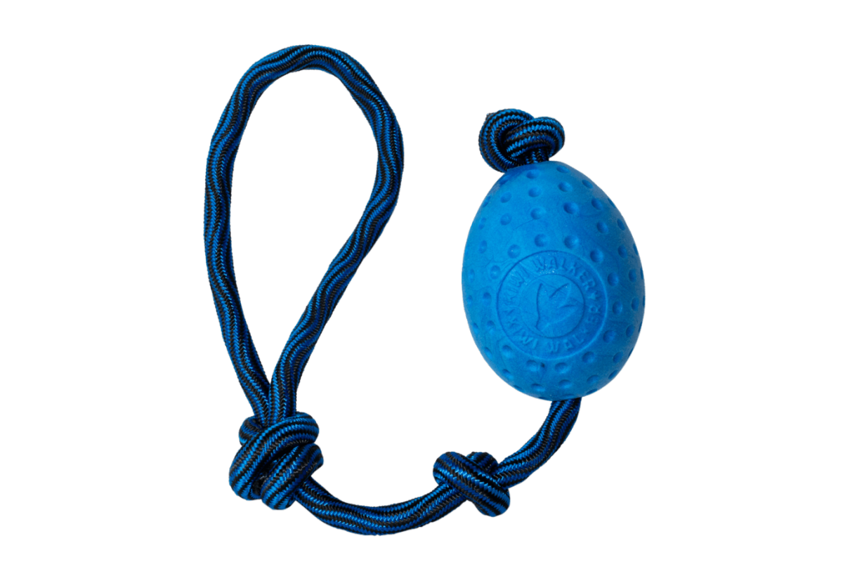 KIWI WALKER LET'S PLAY EGG NIEBIESKI - ZABAWKA Z PIANKI TPR