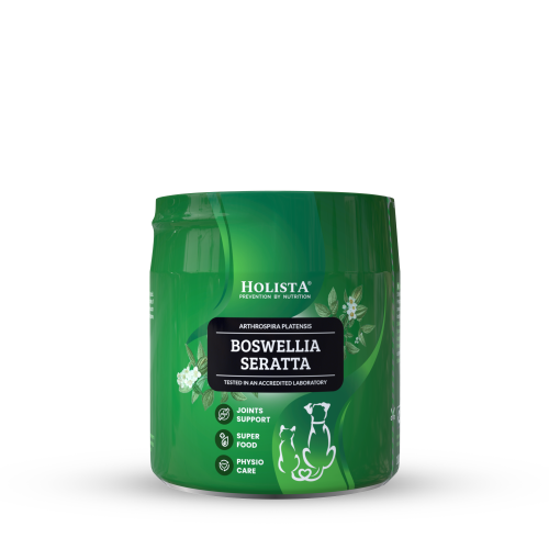 HOLISTA BOSWELLIA SERATTA 100G - NATURALNE WSPARCIE STAWÓW DLA PSA I KOTA