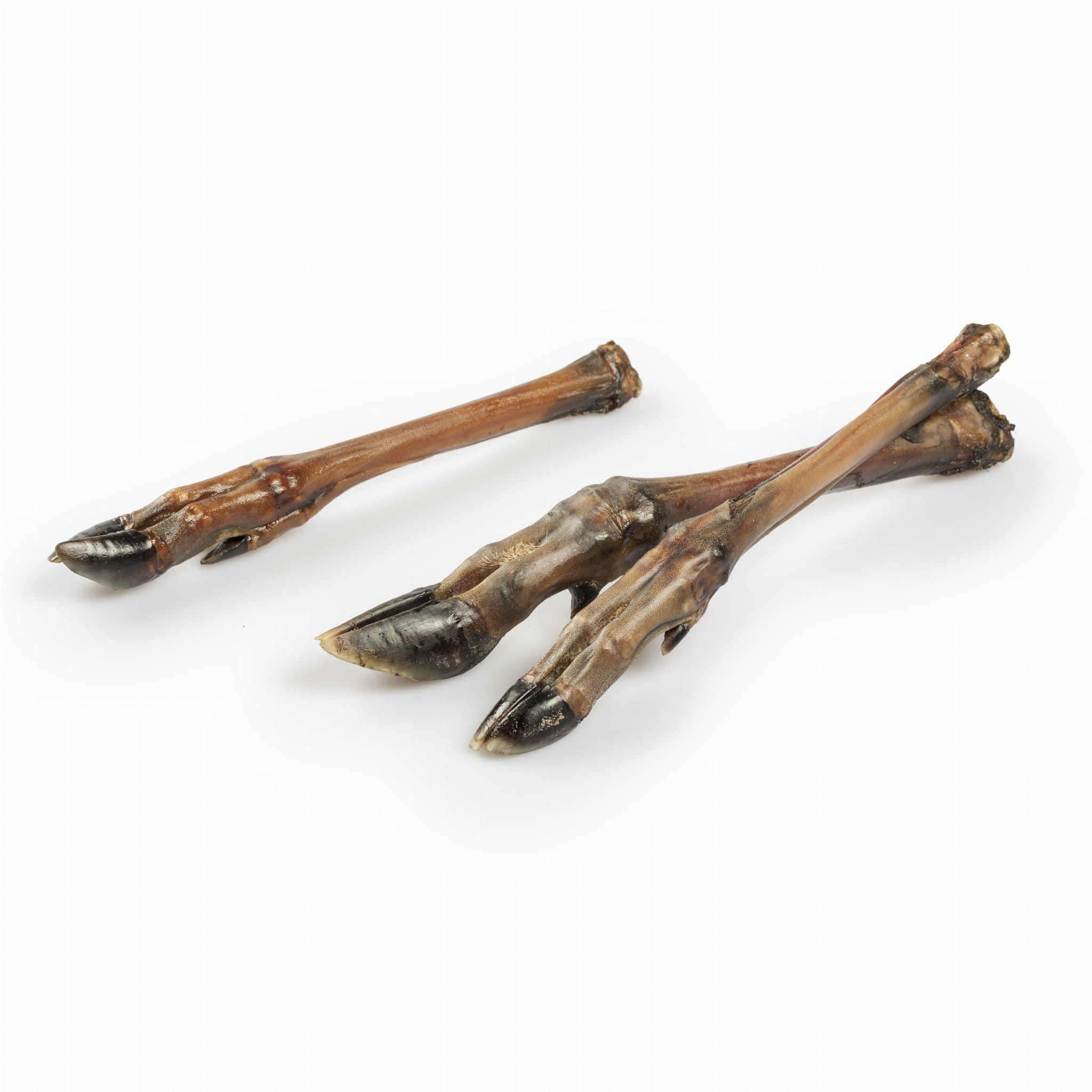 BALTO GRYZAK DLA PSA RACICA SARNY 1SZT