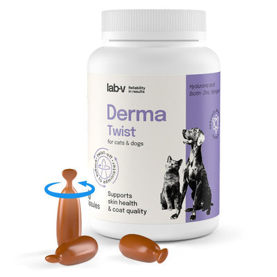 LAB V DERMA TWIST 60 KAPSUŁEK
