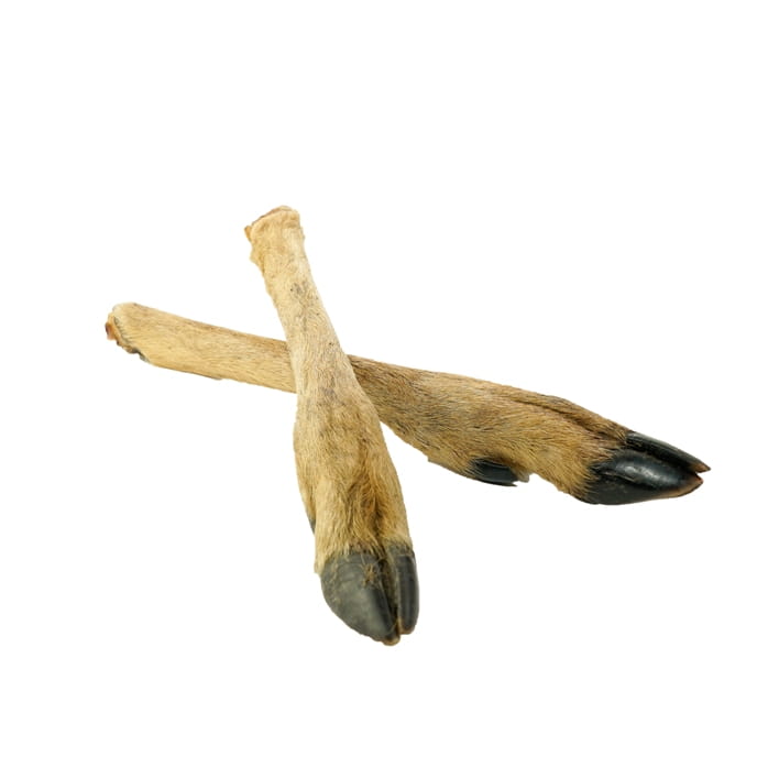 BALTO GRYZAK DLA PSA RACICA SARNY Z FUTREM 2SZT