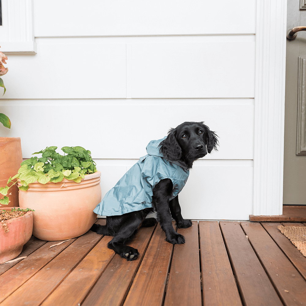 FUZZYARD LIFE RAINCOAT MYRTLE GREEN S4