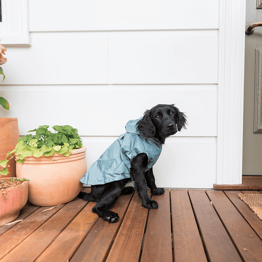 FUZZYARD LIFE RAINCOAT MYRTLE GREEN S6