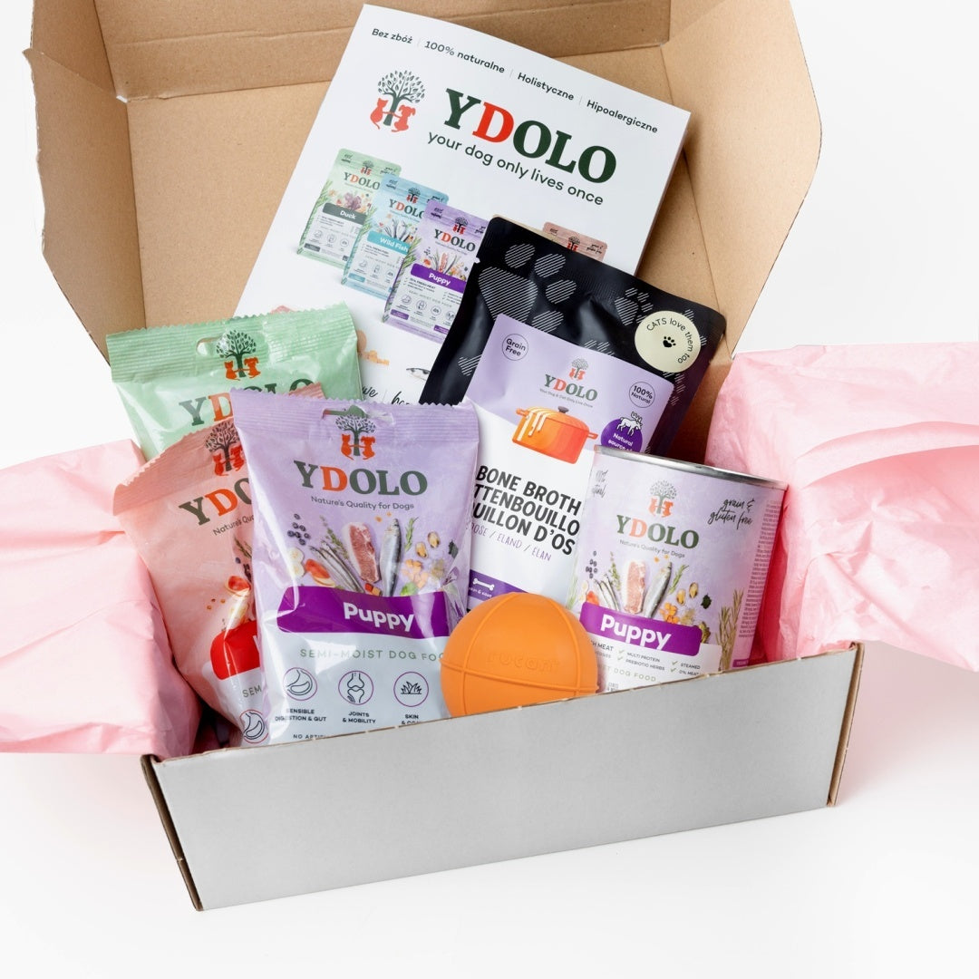 YDOLO BOX TESTOWY PUPPY