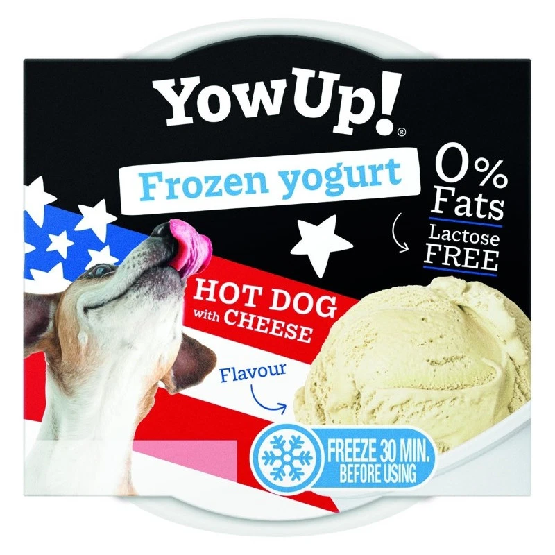 YOW UP! HOT! WITH CHEESE FROZEN YOGURT JOGURT DO MROŻENIA Z SEREM 110G