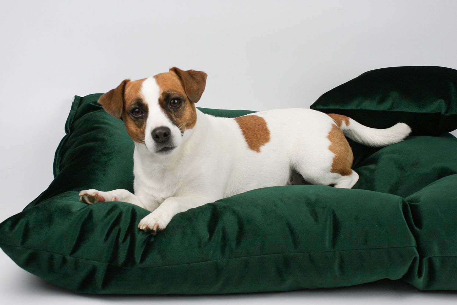 FABVELVET LEGOWISKO DLA PSA, WYMIARY 80/60 CM, VELVET TAPICERSKI - BUTELKOWA ZIELEŃ