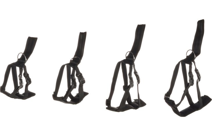 FLAMINGO CAR SAFETY HARNESS BARO BLACK S 33-50X43-56CM