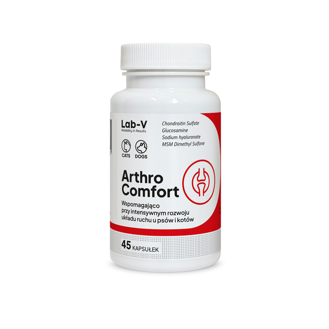 LAB V ARTHRO COMFORT 45 KAPSUŁEK