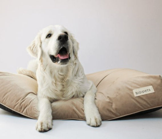 BIZIPETS LEGOWISKO DLA PSA PREMIUM BEŻOWE S