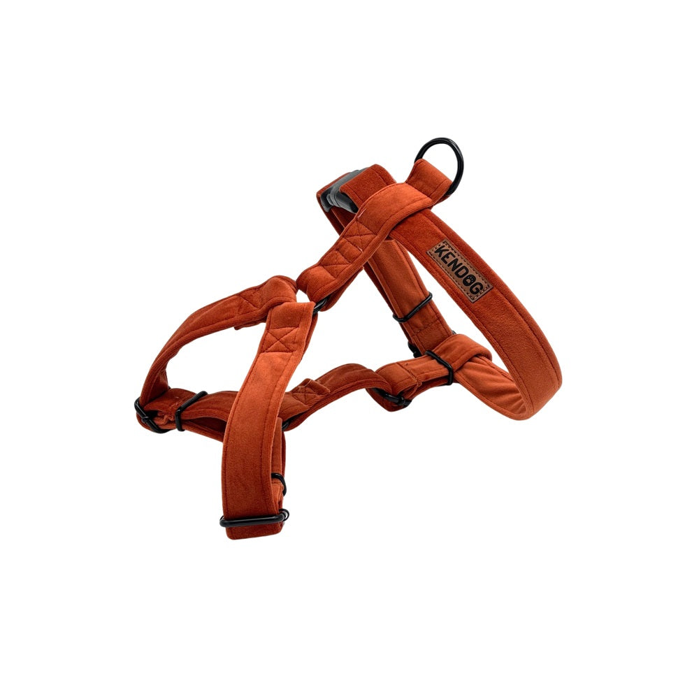 KENDOG SZELKI GUARD DLA PSA VELVET GINGER XS