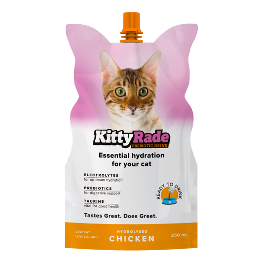 KITTYRADE NAPÓJ IZOTONICZNY DLA KOTA KURCZAK 250ML