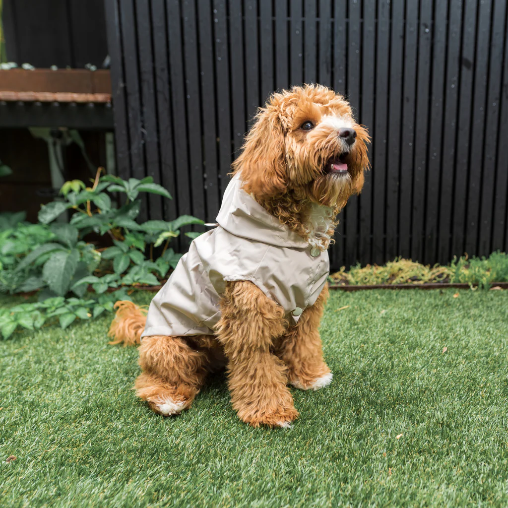 FUZZYARD LIFE RAINCOAT SANDSTONE S6