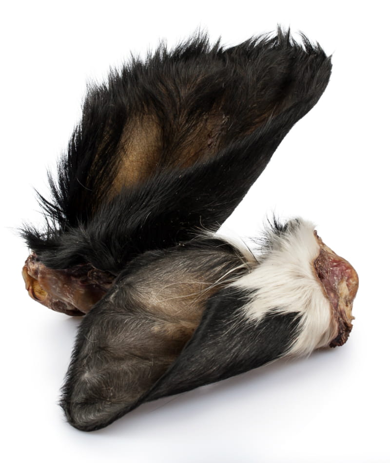 BALTO GRYZAK DLA PSA UCHO WOŁOWE Z FUTREM 1SZT