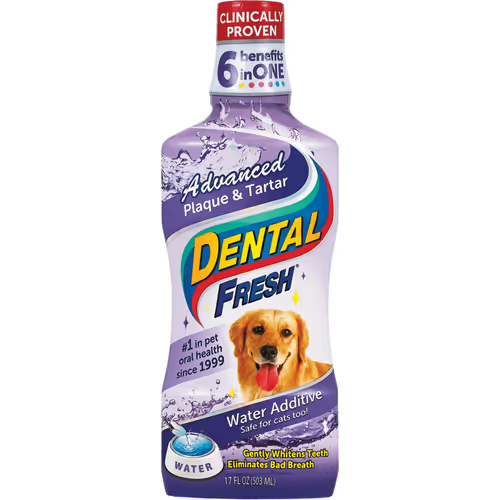 SYNERGY LABS DENTAL FRESH KAMIEŃ I OSAD 503ML