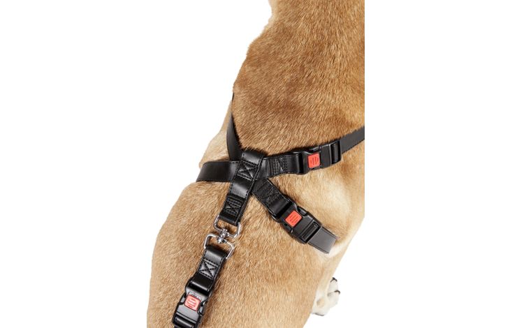 FLAMINGO CAR SAFETY HARNESS DUMA BLACK XL 48,5-82,5X62-105CM