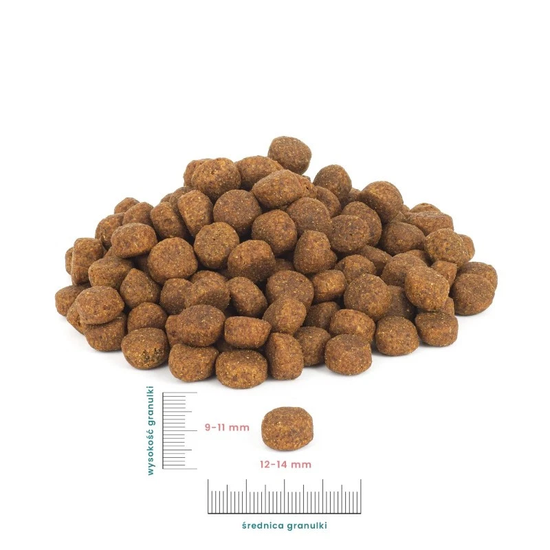 PERRO SUCHA KARMA DLA PSA KACZKA Z BATATAMI M/L 1KG