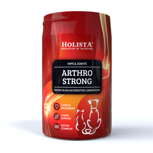 HOLISTA ARTHRO STRONG 200G - KOMPLEKSOWE WSPARCIE STAWÓW, ŚCIĘGIEN I WIĘZADEŁ