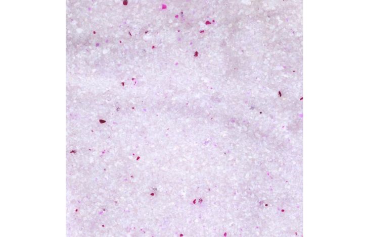 FLAMINGO CAT LITTER SILICA FINE CLUMPING 15L